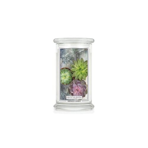 Kringle Candle Succulents giara grande