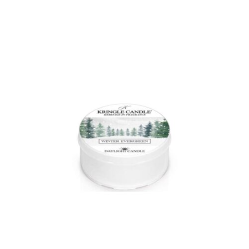 Kringle Candle Winter Evergreen Daylight