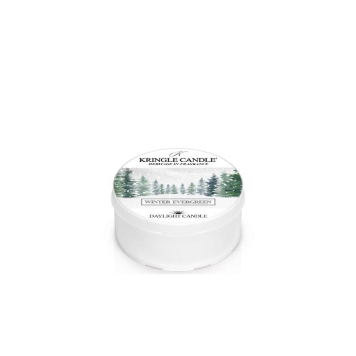 Kringle Candle Winter Evergreen Daylight