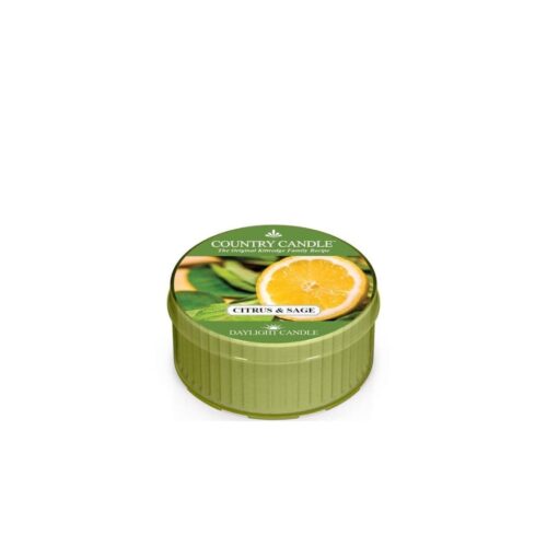 Country Candle Citrus Sage Daylight