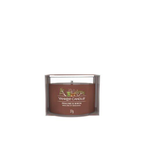 Yankee Candle Praline & Birch Daylight Signature